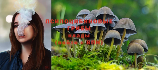 гашиш Козельск